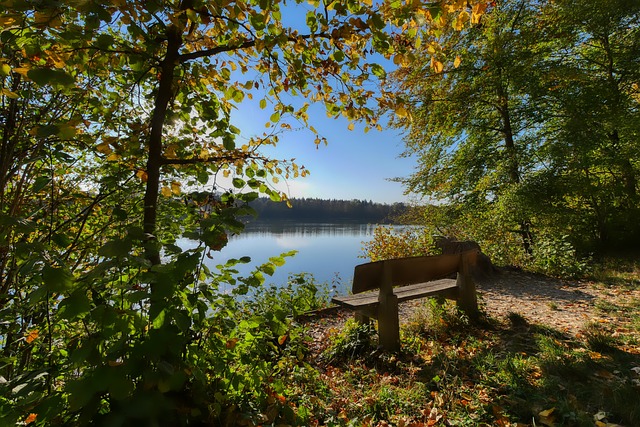 队的比赛中 队的比赛中