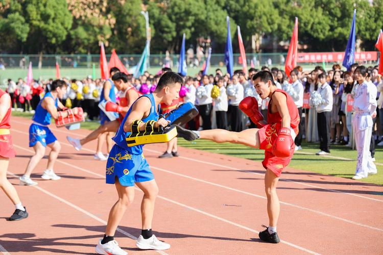 和国反家庭 和国反家庭